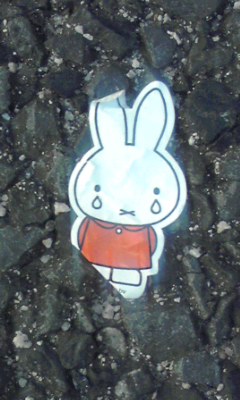 いつもの道路撮影