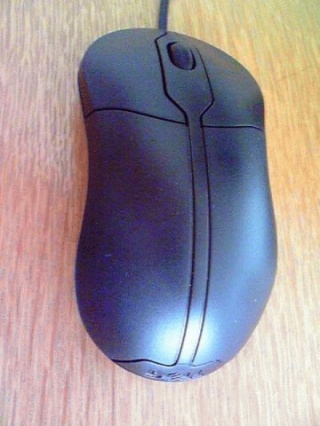 マウス