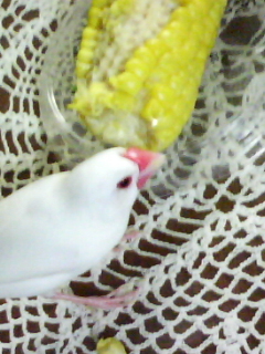 ・∋{結構美味♪