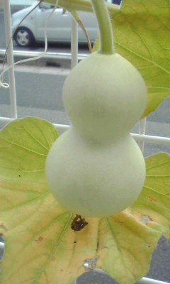 般若波羅蜜多心經