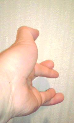 真似してみなさい