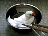 マダカナー（脳内イメージ）