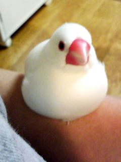 ・∋{涼しくなったな