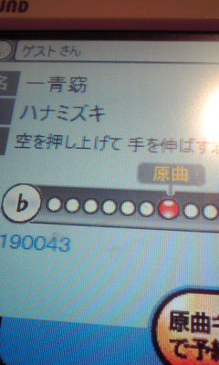 ハナミズキ
