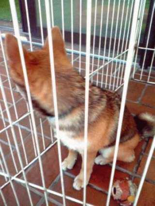 こっち向いて