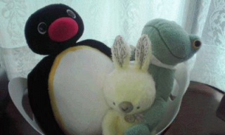 ペンギン！ウサギ！カエル！