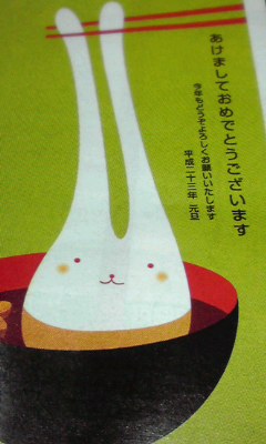 うさぎ虐待