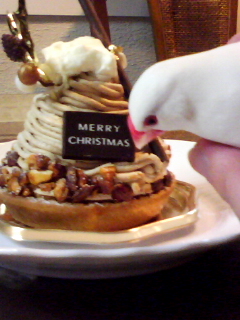・∋{クリスマスケーキだ