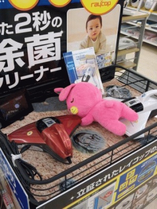 某ウサギ