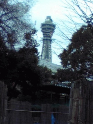 通天閣動物園から