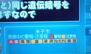 警報キタ━━━━━！