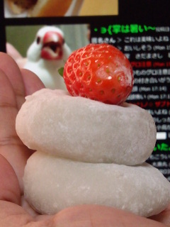 真似してみた