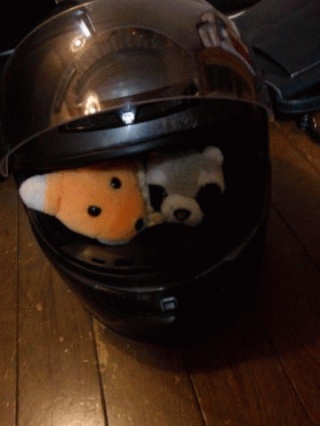 フルフェース
