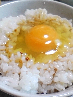 玉子かけ御飯