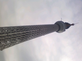 だいぶ高くなりました