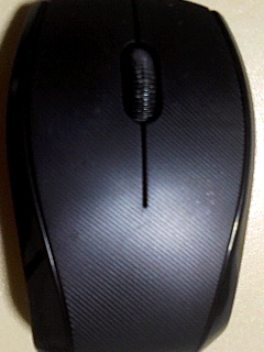 鼠