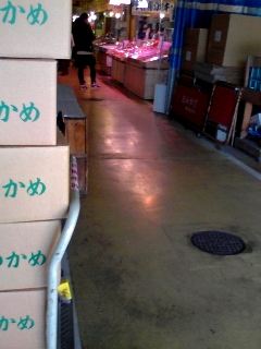 かめかめ