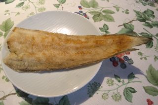 鮃