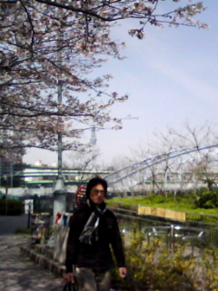 桜、空木