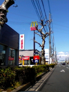定休日