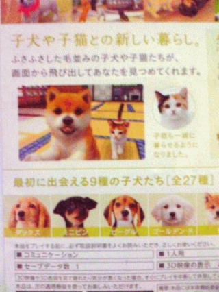 新しい暮らし