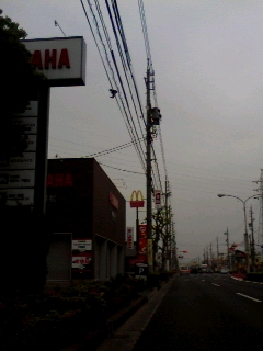 いつものナルド