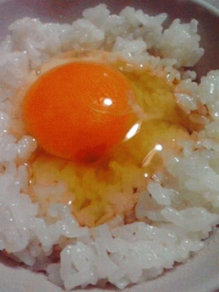 玉子かけご飯