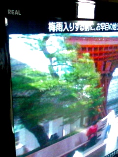 アンテナ工事は梅雨入り前に