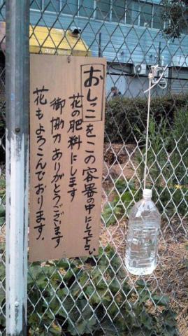 おしっこ