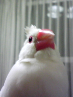 ‐∋{寝癖