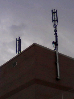 マジ基地