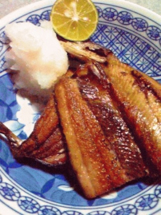 秋刀魚