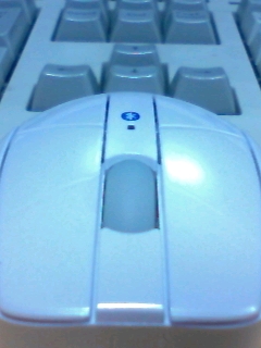 鼠
