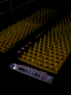 トゲトゲ