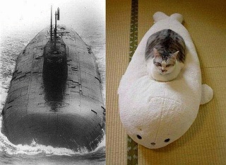 ぬこ