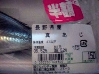 真鯵