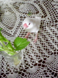 ・∋{サラダバー