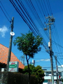 浜松市高丘