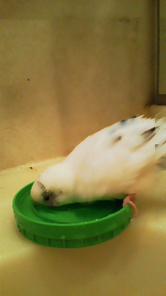 朝風呂中