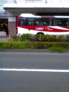 ブルーハワイ