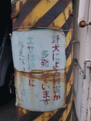 魔境