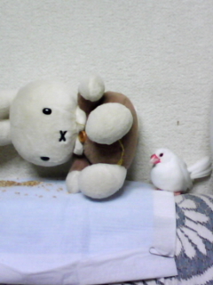 ・∋{どかした