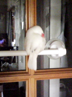 -∋{待ちくたびれた