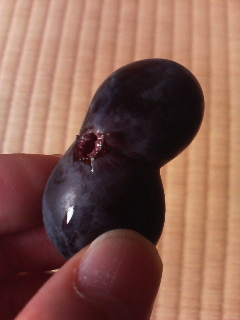 元しカ巨峰