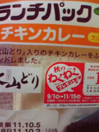 鳥カレー