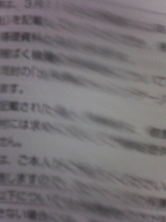 子猫