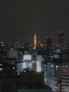 夜景最大ズーム