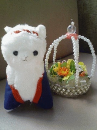 かわいいので