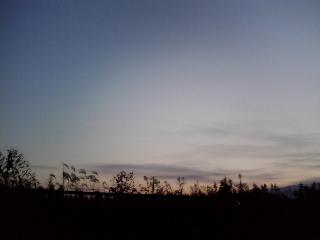 仮設の夕暮れ