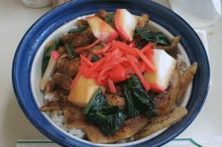 しのだ丼